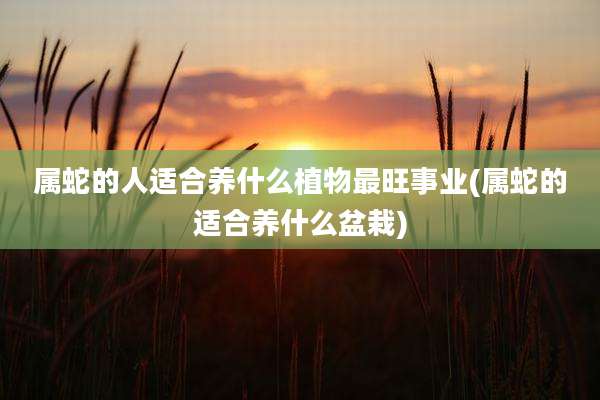 属蛇的人适合养什么植物最旺事业(属蛇的适合养什么盆栽)