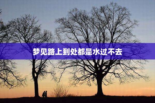 梦见路上到处都是水过不去