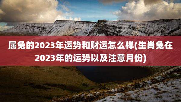 属兔的2023年运势和财运怎么样(生肖兔在2023年的运势以及注意月份)