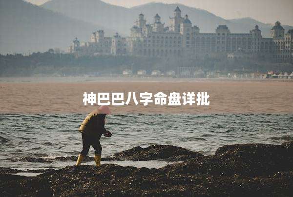 神巴巴八字命盘详批
