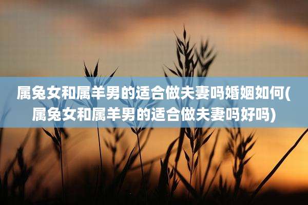 属兔女和属羊男的适合做夫妻吗婚姻如何(属兔女和属羊男的适合做夫妻吗好吗)