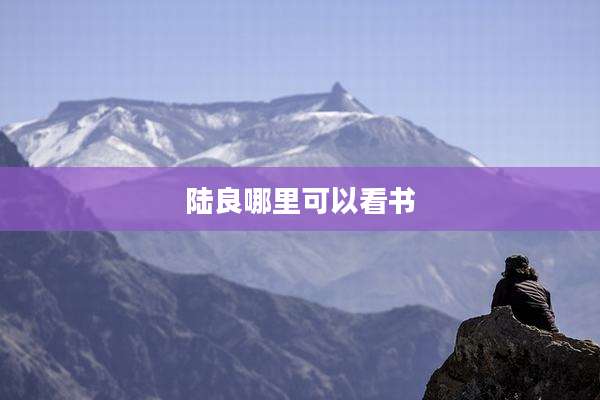陆良哪里可以看书
