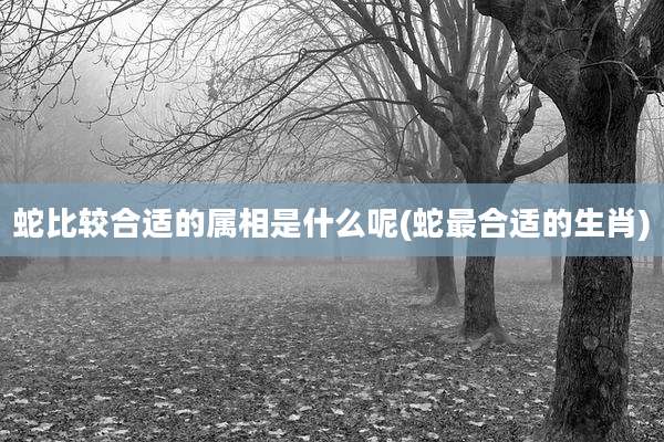 蛇比较合适的属相是什么呢(蛇最合适的生肖)