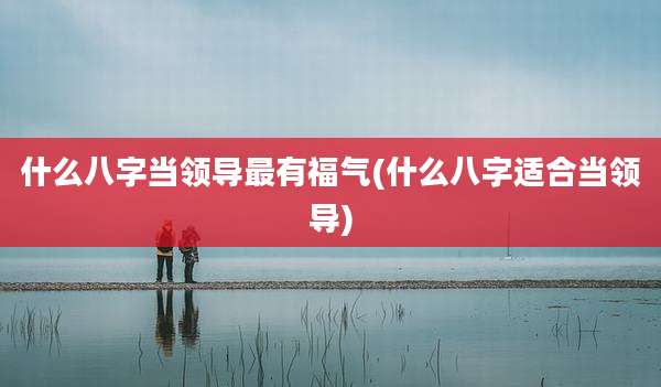 什么八字当领导最有福气(什么八字适合当领导)