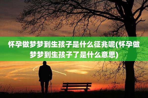 怀孕做梦梦到生孩子是什么征兆呢(怀孕做梦梦到生孩子了是什么意思)