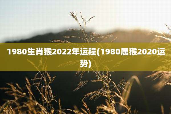 1980生肖猴2022年运程(1980属猴2020运势)
