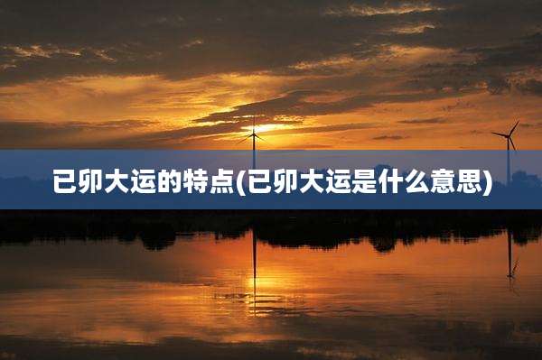已卯大运的特点(已卯大运是什么意思)