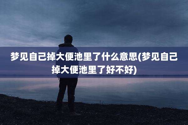 梦见自己掉大便池里了什么意思(梦见自己掉大便池里了好不好)
