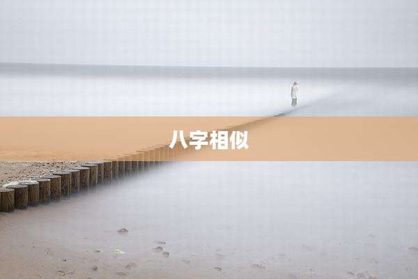 八字相似
