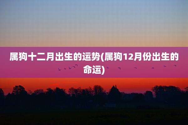 属狗十二月出生的运势(属狗12月份出生的命运)