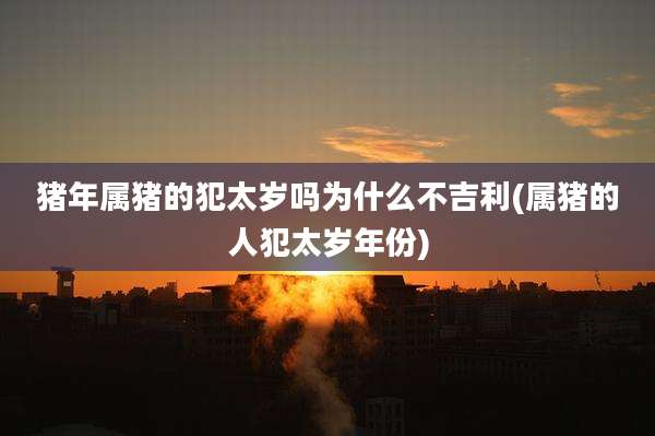 猪年属猪的犯太岁吗为什么不吉利(属猪的人犯太岁年份)