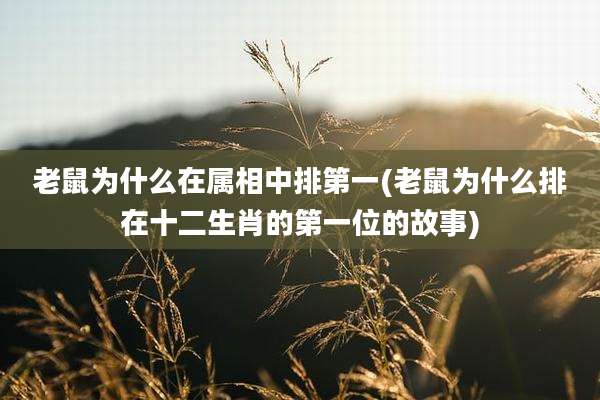 老鼠为什么在属相中排第一(老鼠为什么排在十二生肖的第一位的故事)