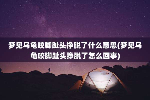 梦见乌龟咬脚趾头挣脱了什么意思(梦见乌龟咬脚趾头挣脱了怎么回事)