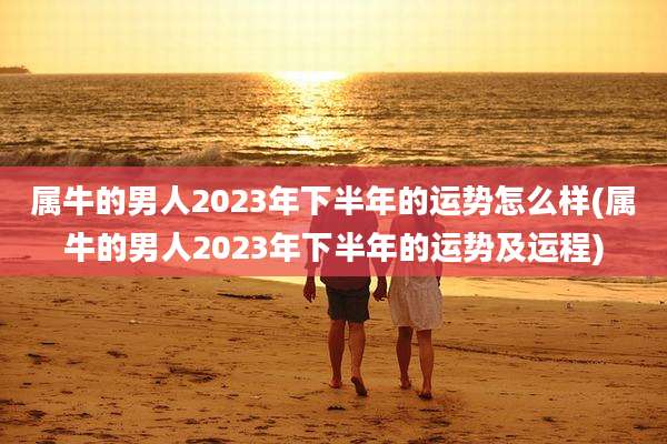 属牛的男人2023年下半年的运势怎么样(属牛的男人2023年下半年的运势及运程)