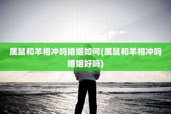 属鼠和羊相冲吗婚姻如何(属鼠和羊相冲吗婚姻好吗)