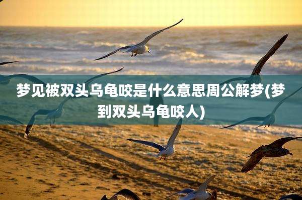 梦见被双头乌龟咬是什么意思周公解梦(梦到双头乌龟咬人)