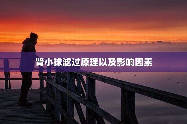 肾小球滤过原理以及影响因素