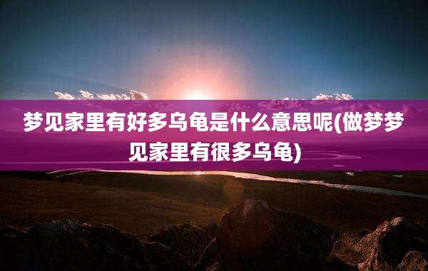 梦见家里有好多乌龟是什么意思呢(做梦梦见家里有很多乌龟)