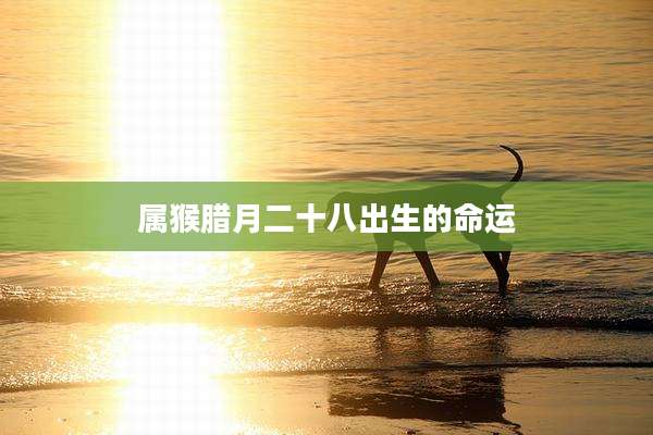 属猴腊月二十八出生的命运