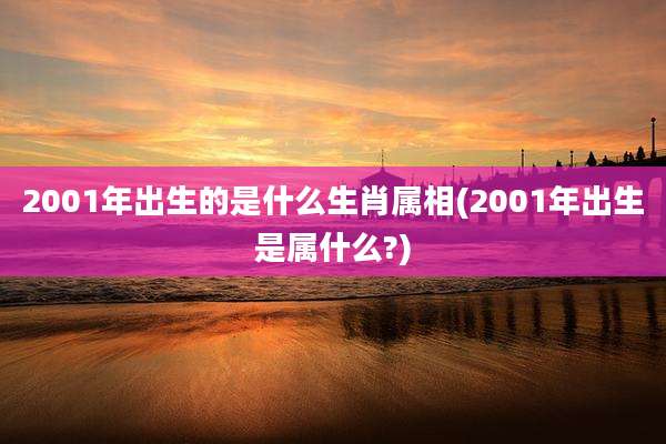 2001年出生的是什么生肖属相(2001年出生是属什么?)