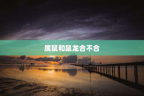 属鼠和鼠龙合不合