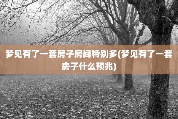 梦见有了一套房子房间特别多(梦见有了一套房子什么预兆)