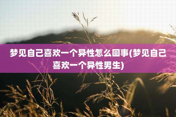 梦见自己喜欢一个异性怎么回事(梦见自己喜欢一个异性男生)