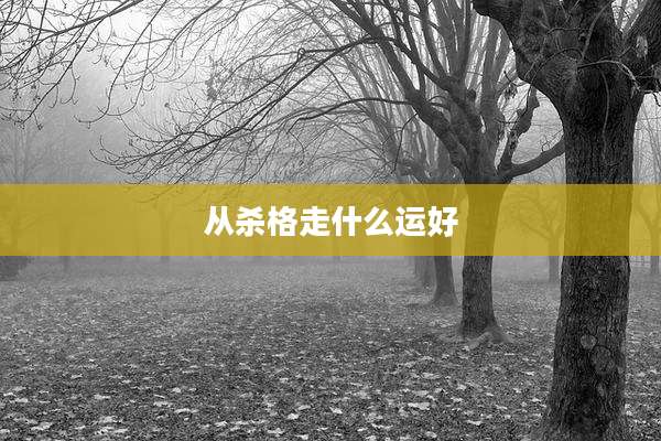 从杀格走什么运好