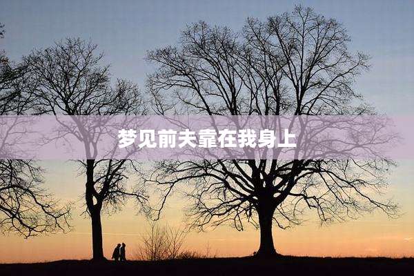梦见前夫靠在我身上