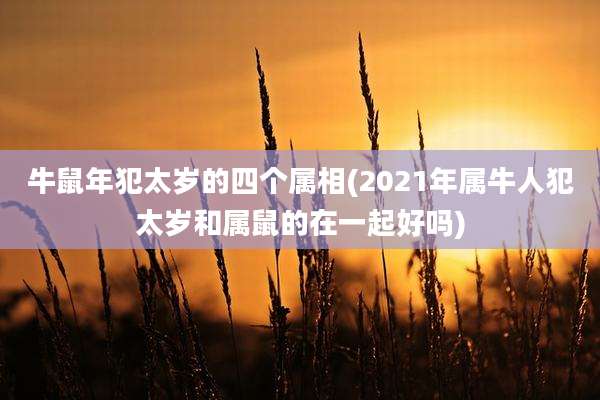 牛鼠年犯太岁的四个属相(2021年属牛人犯太岁和属鼠的在一起好吗)