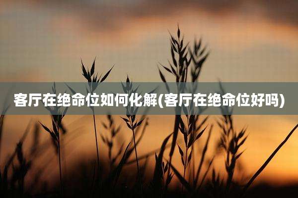 客厅在绝命位如何化解(客厅在绝命位好吗)