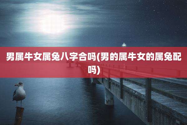 男属牛女属兔八字合吗(男的属牛女的属兔配吗)