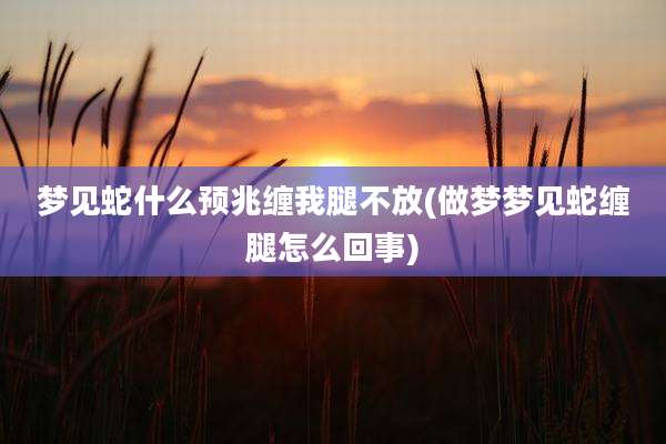 梦见蛇什么预兆缠我腿不放(做梦梦见蛇缠腿怎么回事)