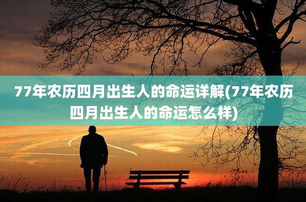 77年农历四月出生人的命运详解(77年农历四月出生人的命运怎么样)