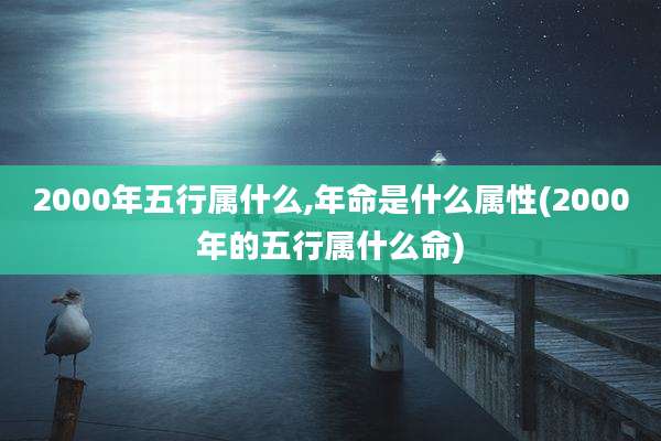 2000年五行属什么,年命是什么属性(2000年的五行属什么命)