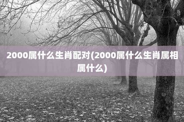 2000属什么生肖配对(2000属什么生肖属相属什么)