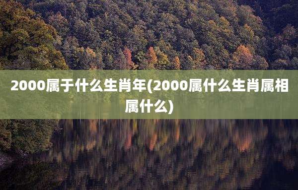 2000属于什么生肖年(2000属什么生肖属相属什么)