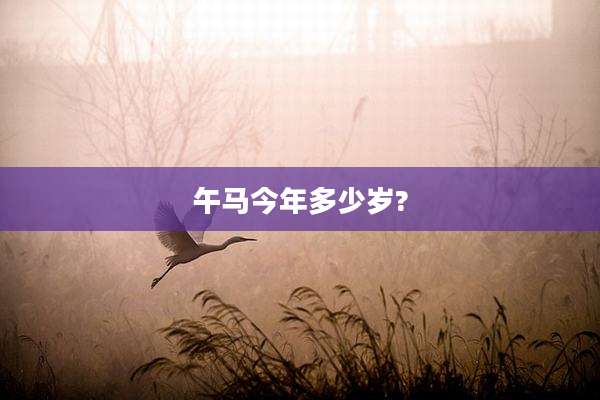 午马今年多少岁?