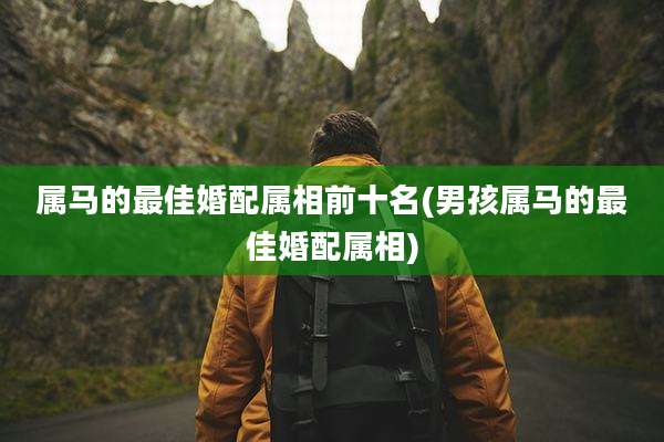 属马的最佳婚配属相前十名(男孩属马的最佳婚配属相)