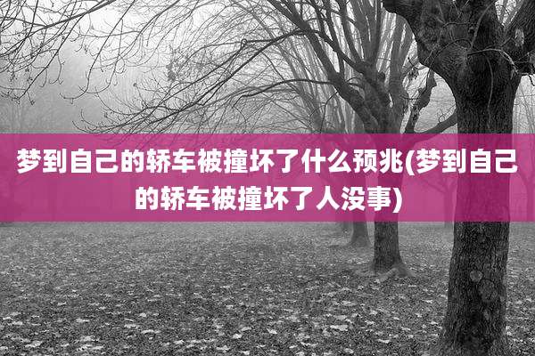 梦到自己的轿车被撞坏了什么预兆(梦到自己的轿车被撞坏了人没事)