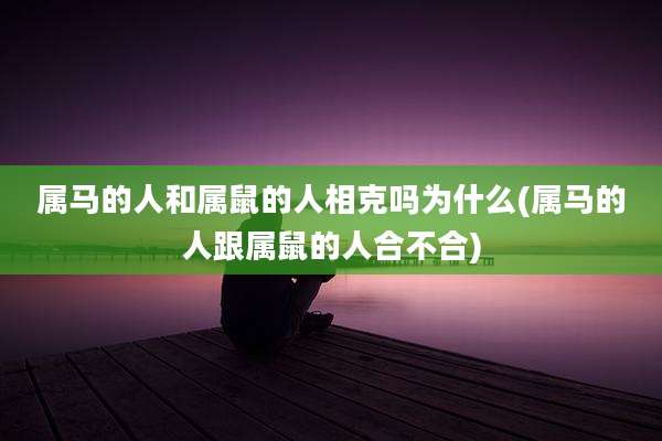 属马的人和属鼠的人相克吗为什么(属马的人跟属鼠的人合不合)