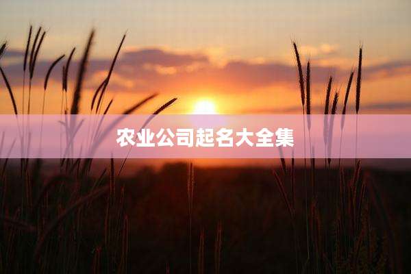 农业公司起名大全集