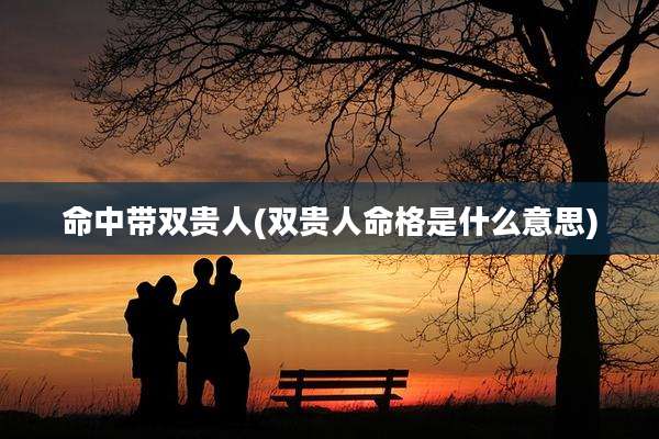 命中带双贵人(双贵人命格是什么意思)