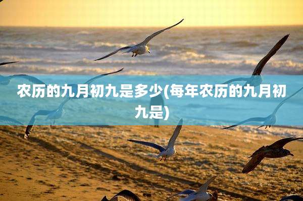 农历的九月初九是多少(每年农历的九月初九是)