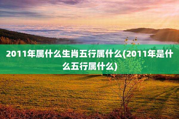 2011年属什么生肖五行属什么(2011年是什么五行属什么)