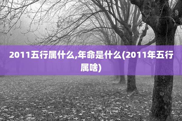 2011五行属什么,年命是什么(2011年五行属啥)