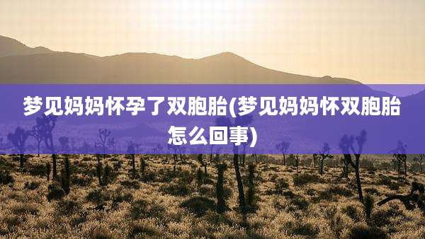 梦见妈妈怀孕了双胞胎(梦见妈妈怀双胞胎怎么回事)