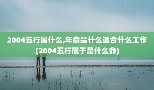 2004五行属什么,年命是什么适合什么工作(2004五行属于是什么命)