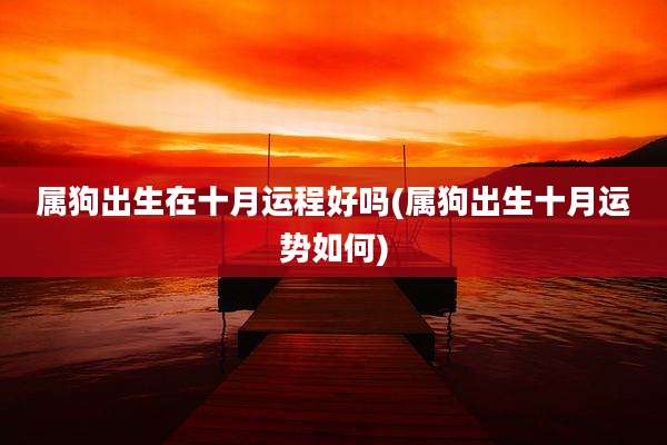 属狗出生在十月运程好吗(属狗出生十月运势如何)