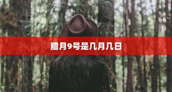 腊月9号是几月几日